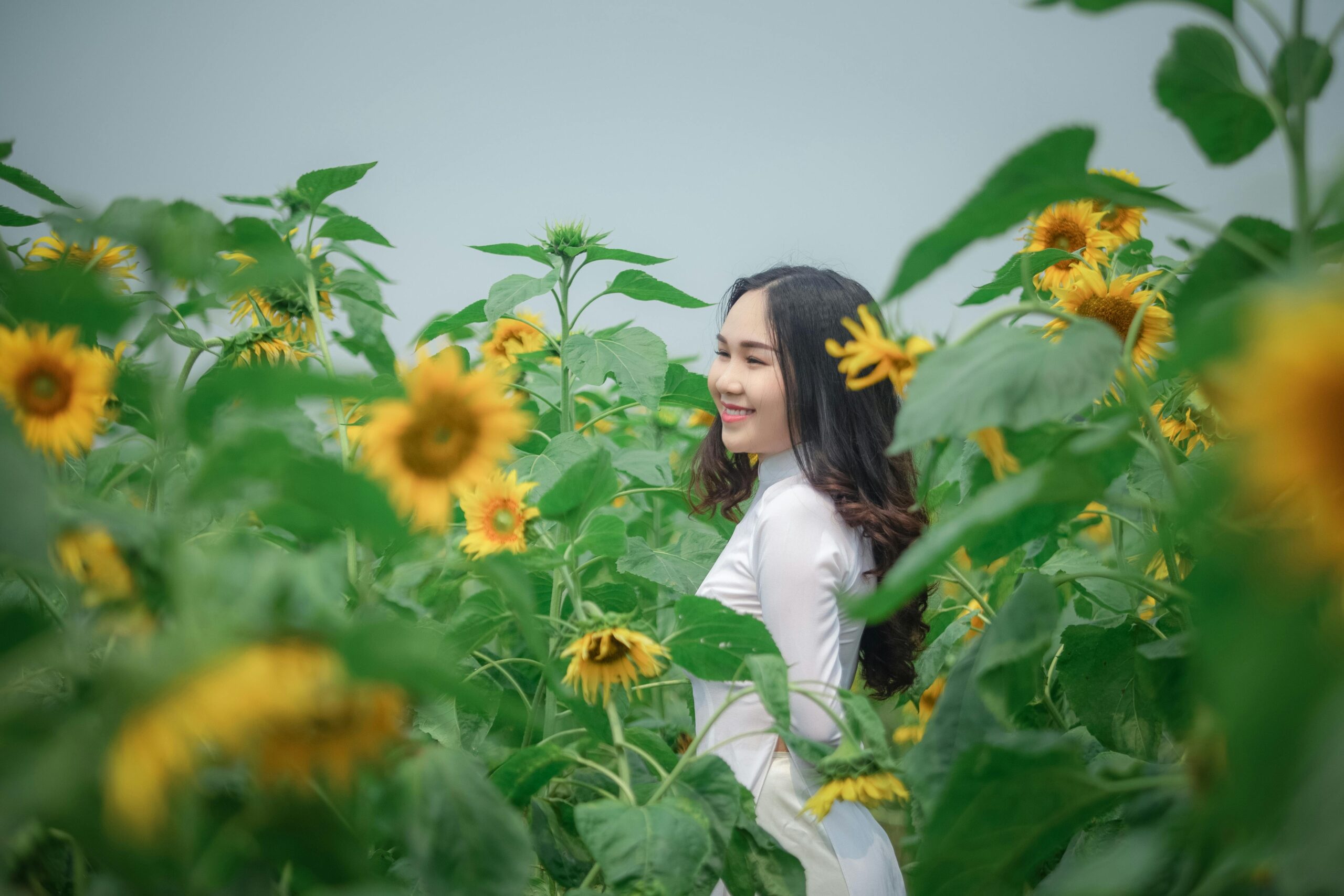 Happy woman enjoying a serene walk among blooming sunflowers on a sunny day.
