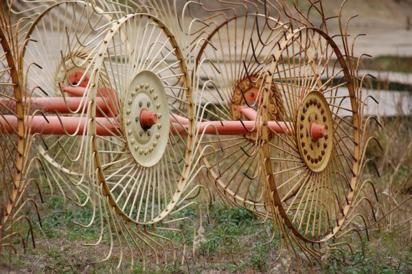 hay, rake, grass, field, countryside, farm, harvest, hay rake, straw, agriculture, nature, rake, hay rake, hay rake, hay rake, hay rake, hay rake